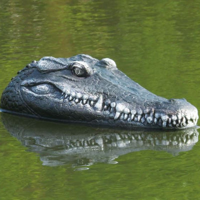 Remote Crocodile Head - Snout | Remote Control Reptile Boat