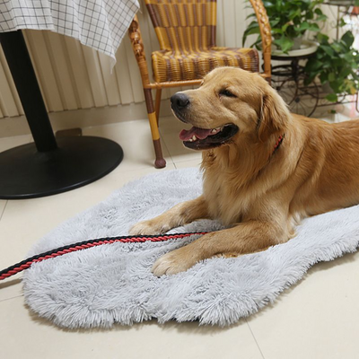 Orthopedic Dog Bed Memory Foam - Niches Store