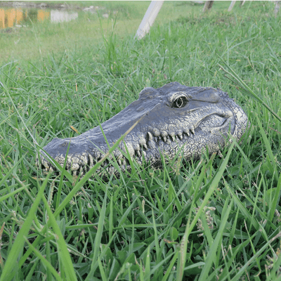 Crocodile Head - Snout | Remote Control Reptile Boat - Niches Store