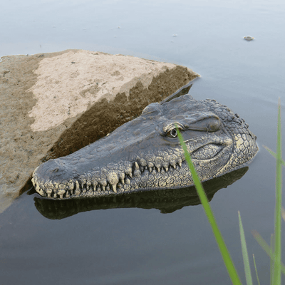 Crocodile Head - Snout | Remote Control Reptile Boat - Niches Store