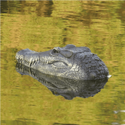 Crocodile Head - Snout | Remote Control Reptile Boat - Niches Store