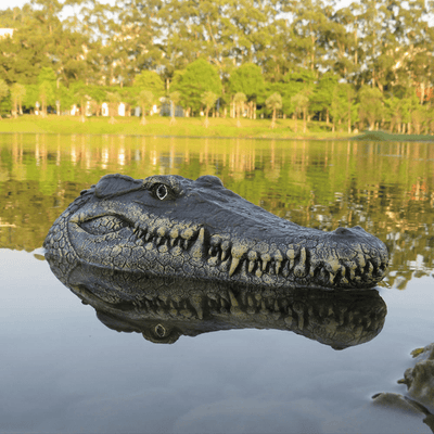 Crocodile Head - Snout | Remote Control Reptile Boat - Niches Store