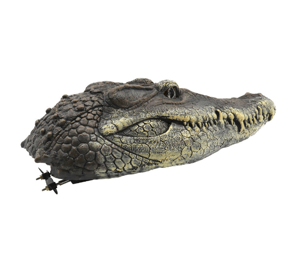 Remote Crocodile Head - Snout | Remote Control Reptile Boat