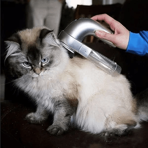 Pet Grooming Trimmer - Niches Store