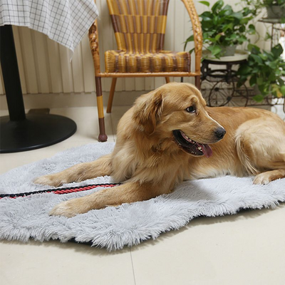 Orthopedic Dog Bed Memory Foam - Niches Store