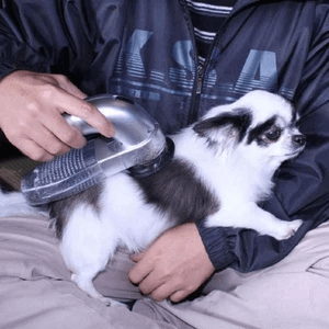 Pet Grooming Trimmer - Niches Store