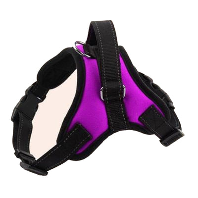 Pet Harness for Small, Medium, Large & Extra Large Pets