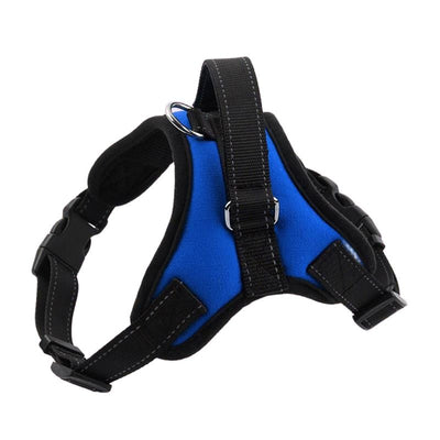 Pet Harness for Small, Medium, Large & Extra Large Pets