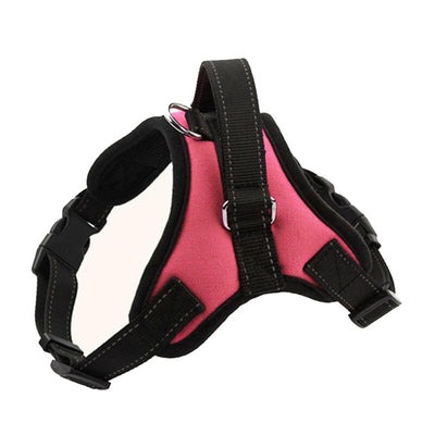 Pet Harness for Small, Medium, Large & Extra Large Pets