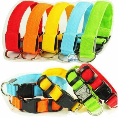 Premium Glow-In-The-Dark LED Safety Collar - Niches Store