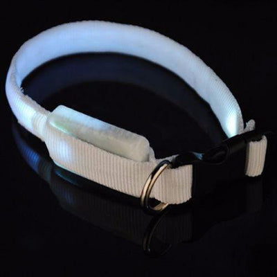 Premium Glow-In-The-Dark LED Safety Collar - Niches Store