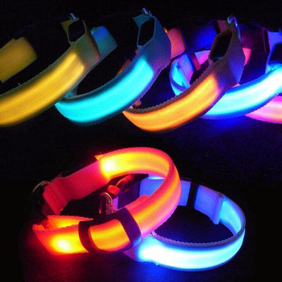 Premium Glow-In-The-Dark LED Safety Collar - Niches Store