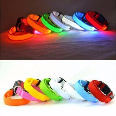 Premium Glow-In-The-Dark LED Safety Collar - Niches Store