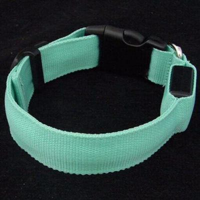 Premium Glow-In-The-Dark LED Safety Collar - Niches Store