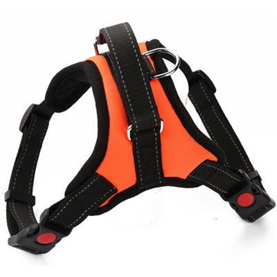 Pet Harness for Small, Medium, Large & Extra Large Pets