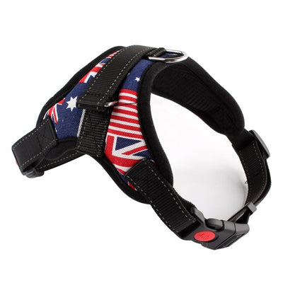 Pet Harness for Small, Medium, Large & Extra Large Pets