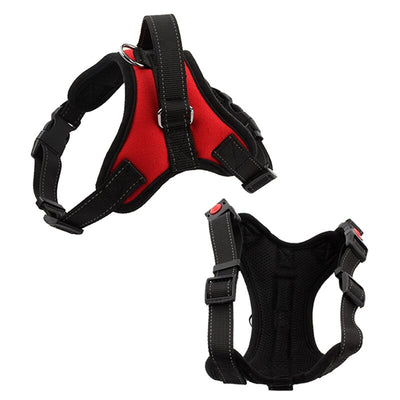 Pet Harness for Small, Medium, Large & Extra Large Pets