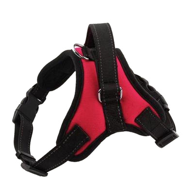 Pet Harness for Small, Medium, Large & Extra Large Pets